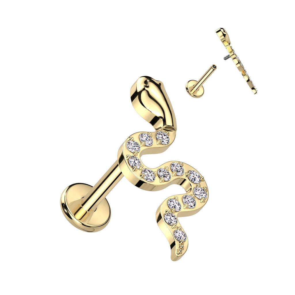 Implant Grade Titanium Internally Pave Snake Top